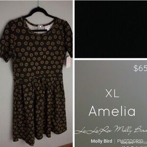 LLR Amelia XL